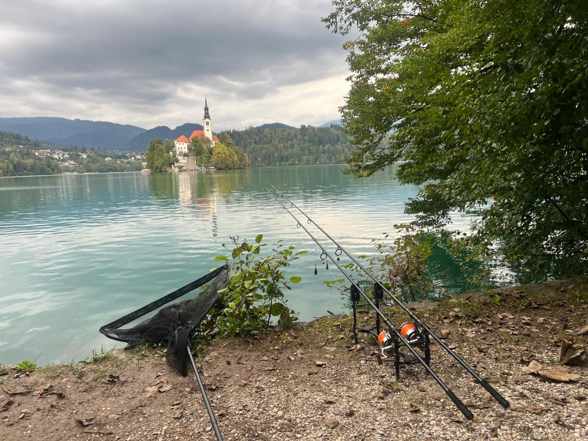 4 Elements Glamping & Apartments Bled Esterno foto