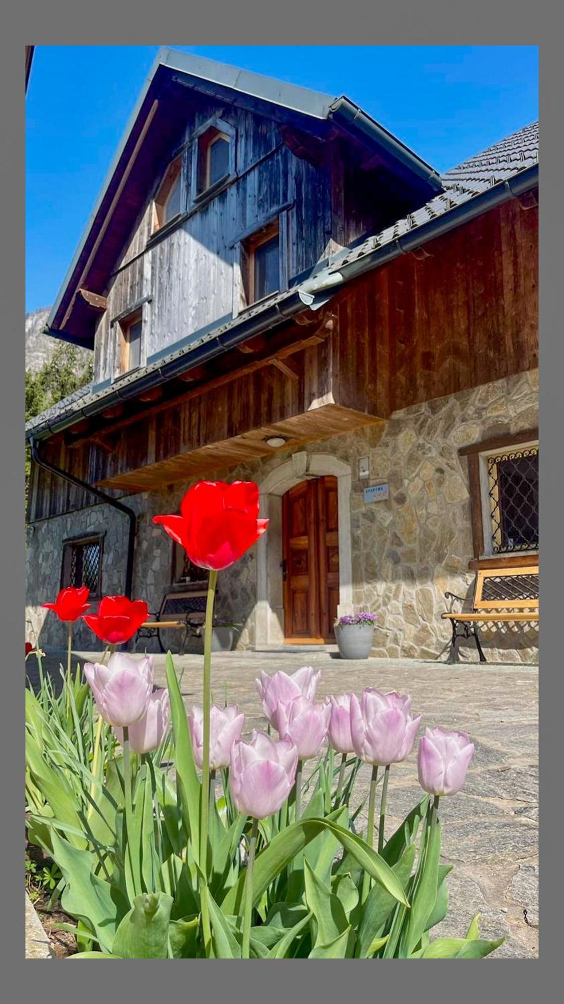 4 Elements Glamping & Apartments Bled Esterno foto