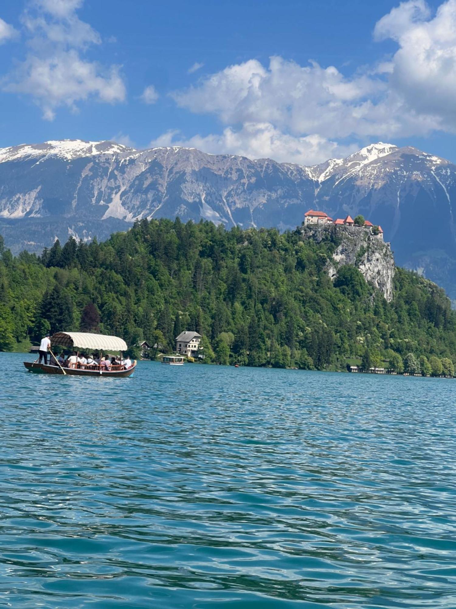 4 Elements Glamping & Apartments Bled Esterno foto